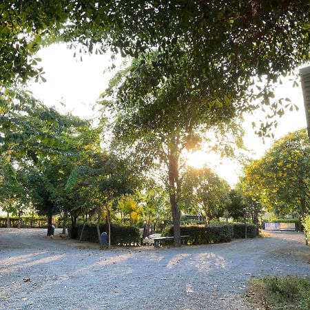 Baan Tonjaeng Resort Chainat Ngoại thất bức ảnh